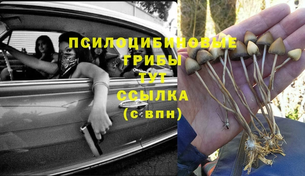 не бодяженный Алзамай