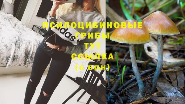 не бодяженный Алзамай