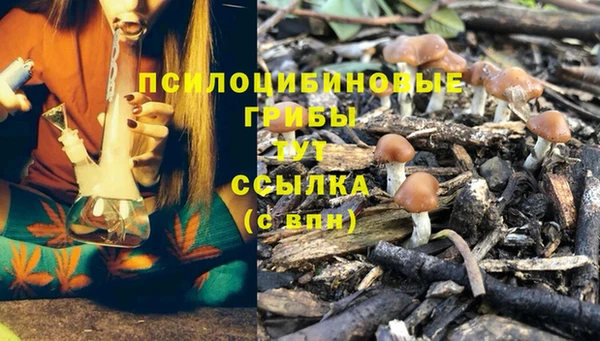 амфетамин Алексин