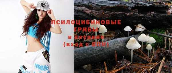 не бодяженный Алзамай